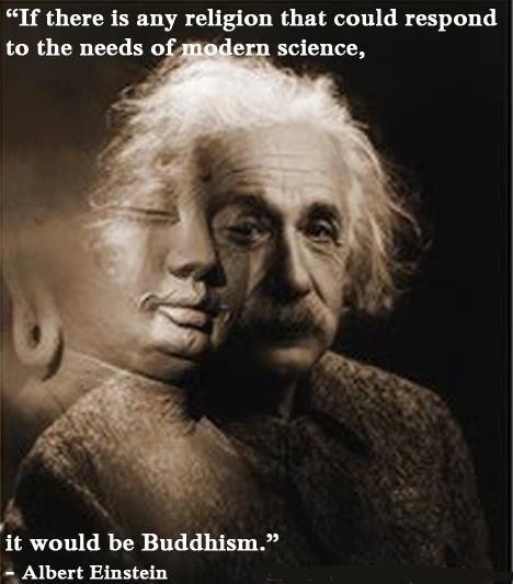 Physics Finds Koans